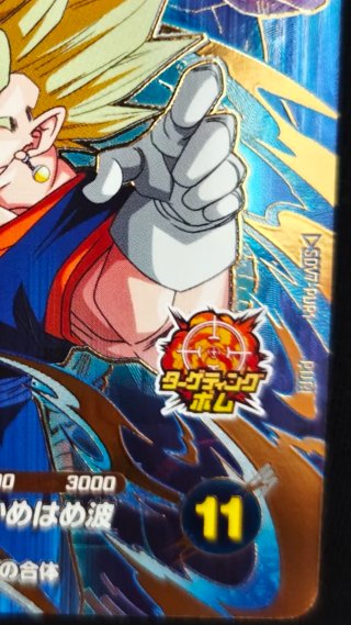 Vegito SDV7-PUR1