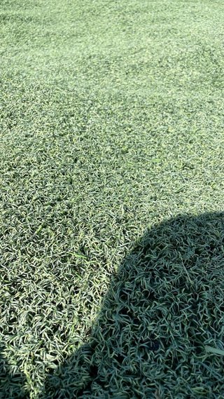 Cesped artificial