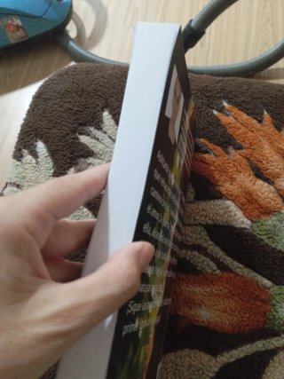 ASHTARTÉ. EL BOSQUE MALDITO (Spanish Edition)