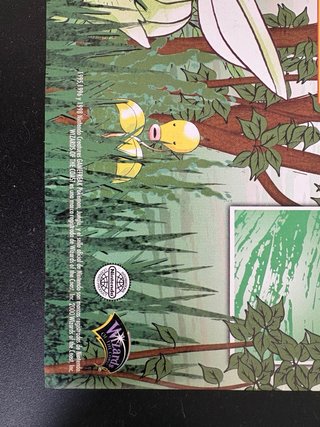 Tapete Pokémon Liga Vintage 2000 Fossil Edition