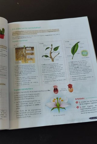 Biología y Geología 1º ESO. Libro del estudiant...