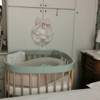 Pod Inglesina Rosa con custodia