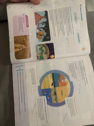Coneixement del Medi, 6 Primària, Projecte Cons...