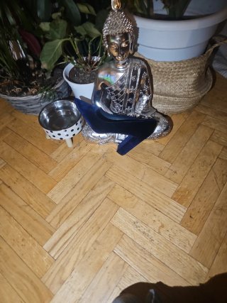 Zapatos de tacón azul de terciopelo