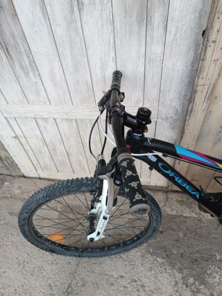 Bicicleta Orbea MX24 XC
