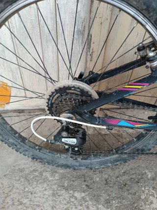 Bicicleta Orbea MX24 XC
