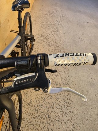 Bicicleta Giant Negra