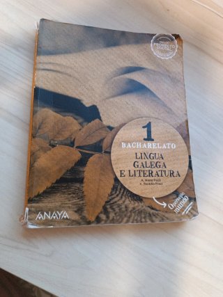 Lingua Galega e Literatura 1.