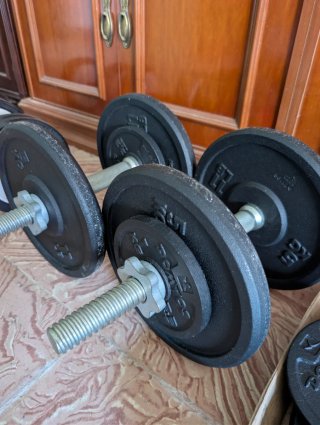 Mancuernas y discos de gimnasio