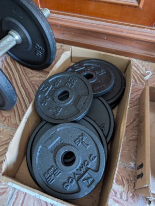 Mancuernas y discos de gimnasio