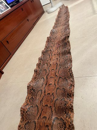 Piel de Serpiente Original 380 cm