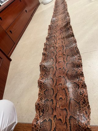 Piel de Serpiente Original 380 cm
