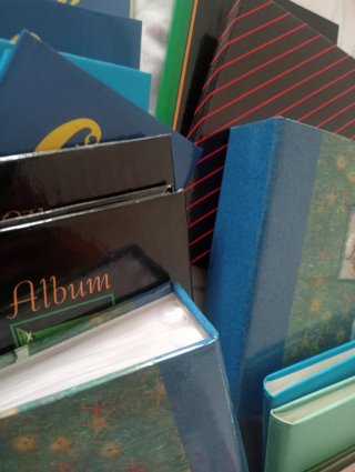 Lote de álbumes de fotos