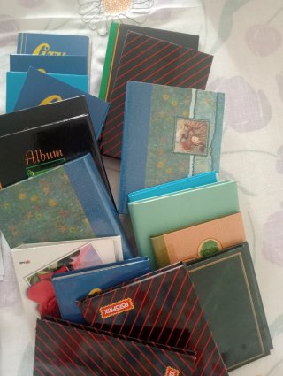 Lote de álbumes de fotos