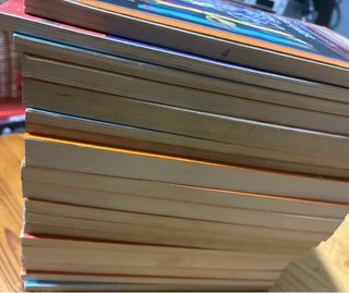 Lote 18 libros Barco de Vapor