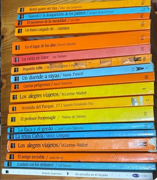 Lote 18 libros Barco de Vapor