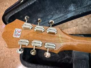 Epiphone 335 Pro Mod Gibson