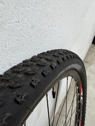 Rueda de Bicicleta Ozone con Disco. 29