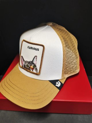 Gorra Goorin Bros Curious Gato