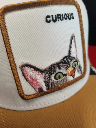 Gorra Goorin Bros Curious Gato