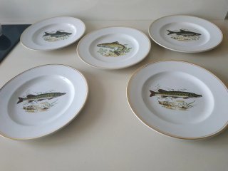 Platos Vargas Segovia