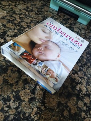 Tu Embarazo Semana a Semana (Lesley Regan)