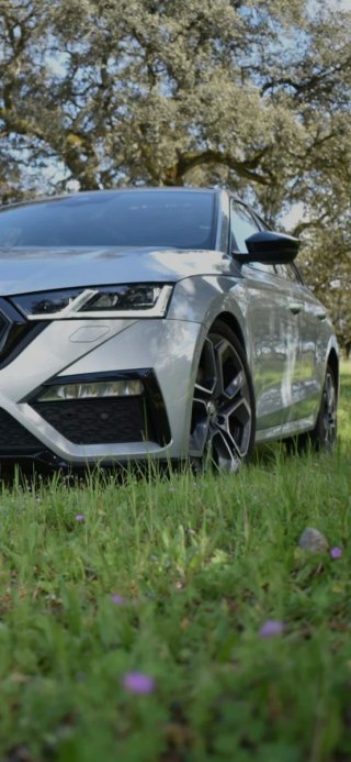 Skoda Octavia 2021