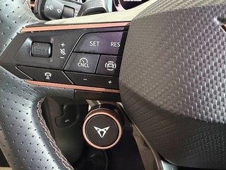 Cupra Terramar 1.5 eTSI 110kW (150 CV) DSG