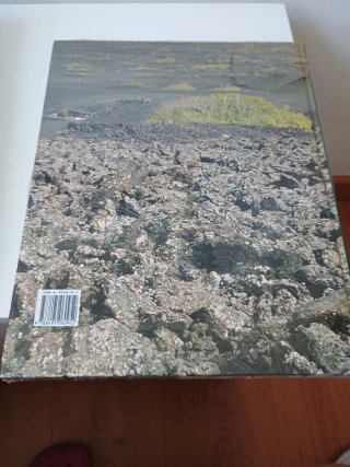 Islas Canarias