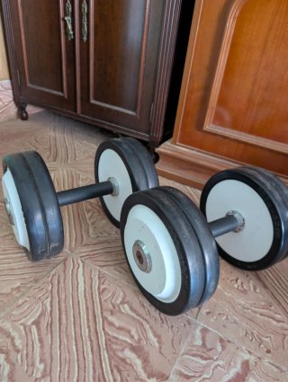 Mancuernas Technogym 2x20kg
