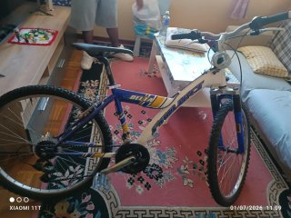 Bicicleta de montaña Project Delta