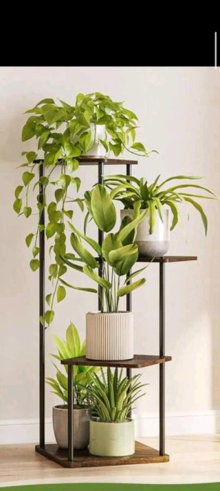Estante para plantas