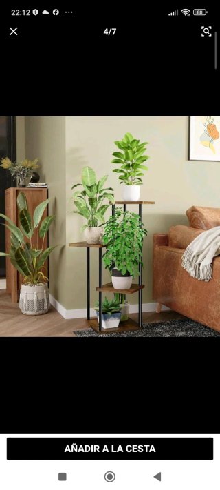 Estante para plantas