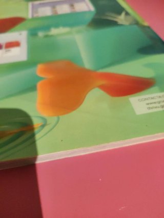 Libro texto