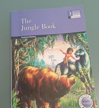 The jungle box