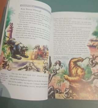 The jungle box