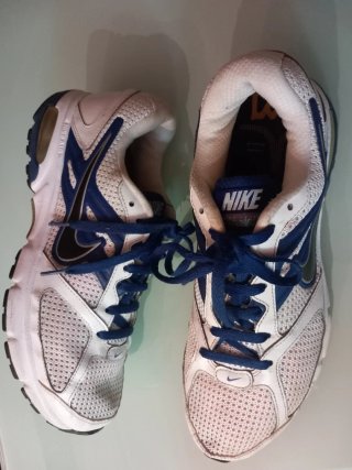 Zapatillas de correr Nike Air Dictate