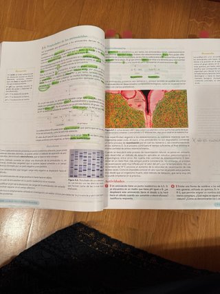Biología 2º Bachillerato. Libro del estudiante....