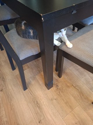 Mesa comedor extensible Ikea