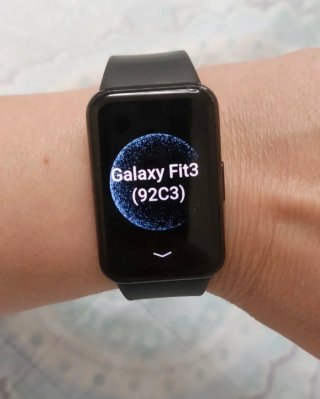 Samsung Galaxy Fit 3 Grigio