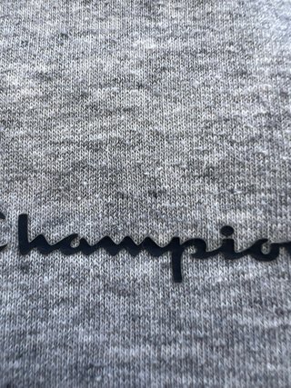 Chaqueta Champion Gris Cremallera