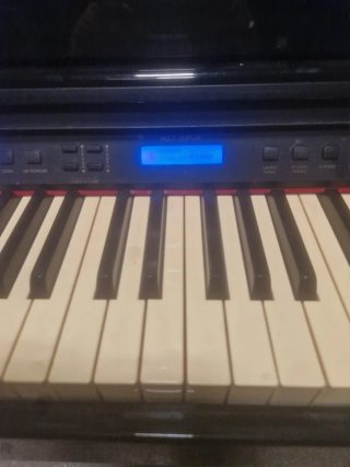 Piano Digital Ringway GDP1000L Negro