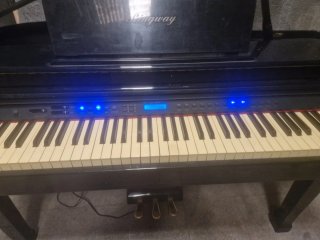 Piano Digital Ringway GDP1000L Negro