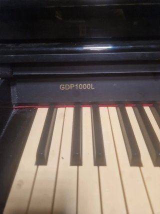 Piano Digital Ringway GDP1000L Negro