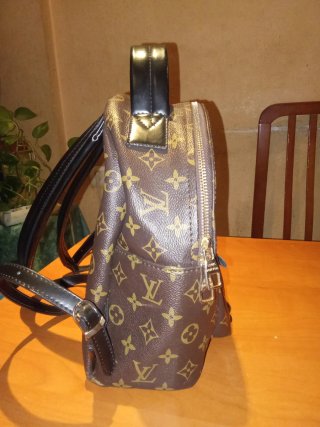 Mochila Louis Vuitton Marrón y Dorada
