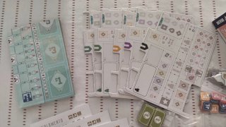 Jogo de Tabuleiro Salton Sea