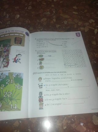 Libro de francés defis1