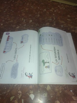Libro de francés defis1