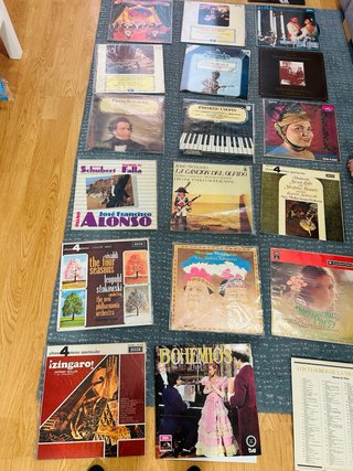Lote discos de vinilo en perfecto estado