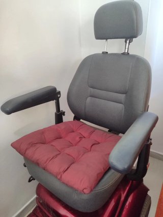 Carrito eléctrico